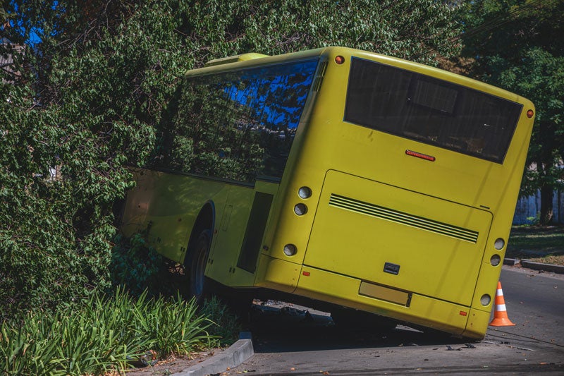 Rear view of a yellow bus with its front half crashed into a dense green bush, skewed onto the curb.